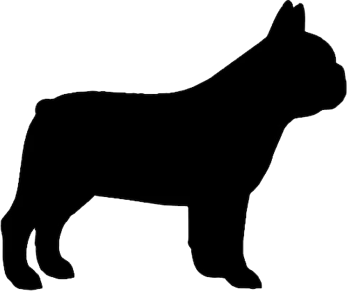 dog icon