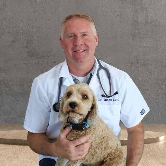dr jason long with dog