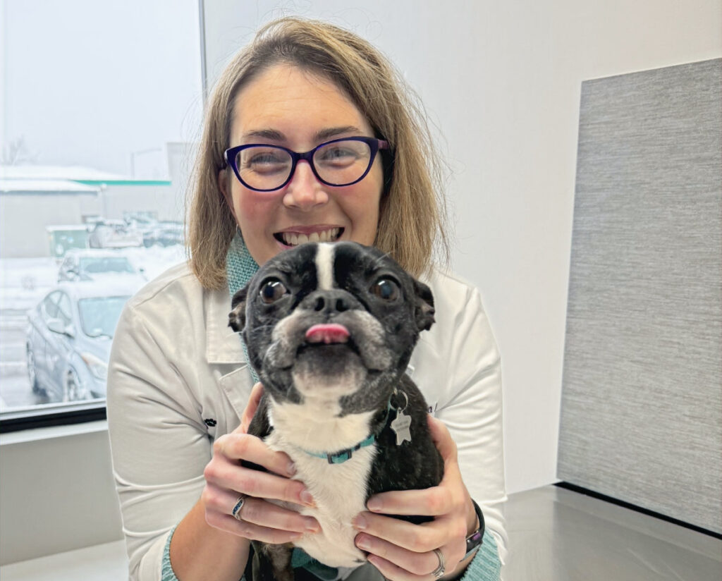 dr jen malone and boston terrier cropped