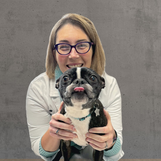 dr jen malone with boston