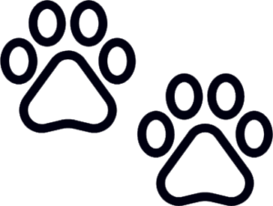 paw prints