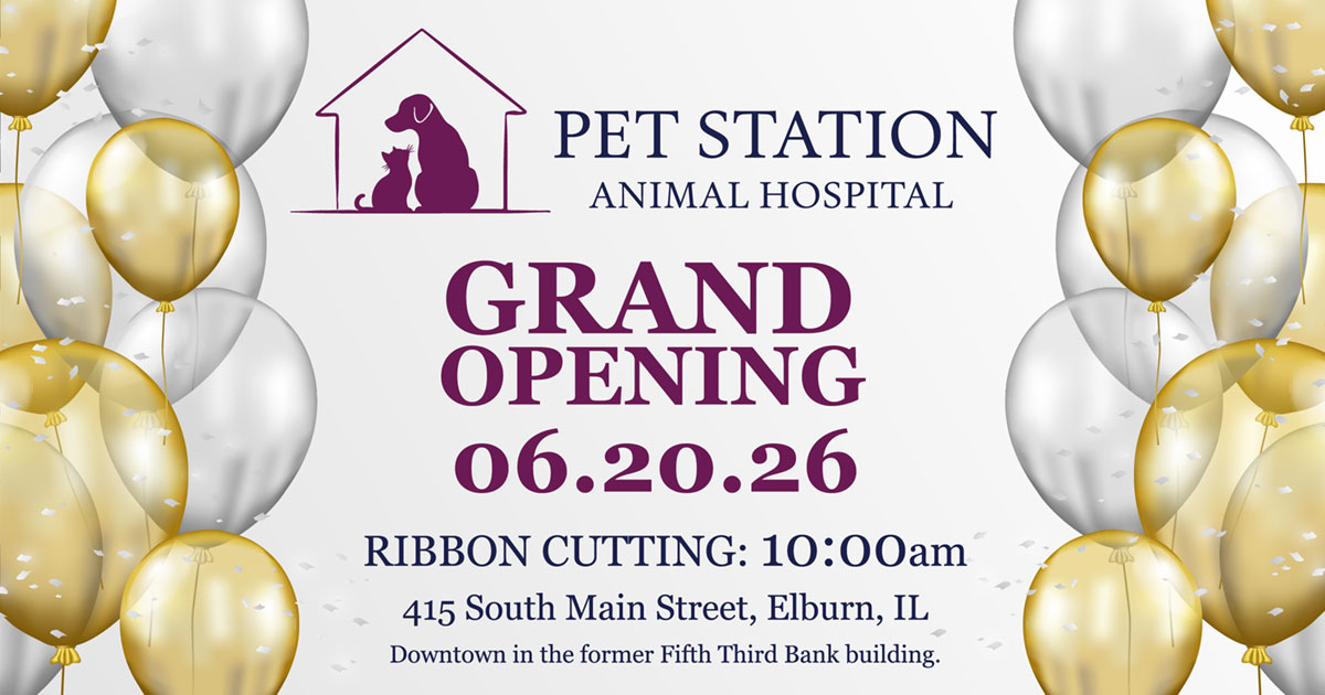 Grand Opening