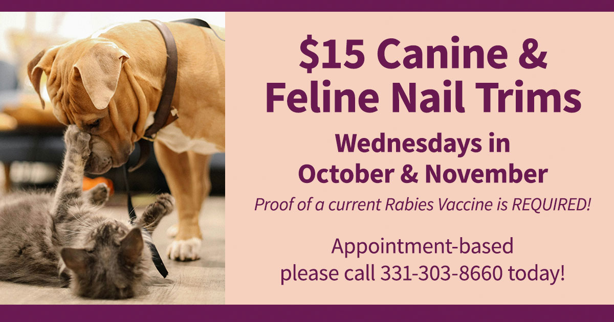 Discounted Nail Trims in October and November